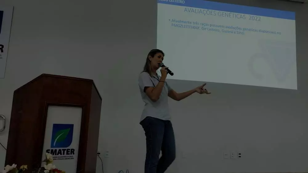 zebuínas leiteiras