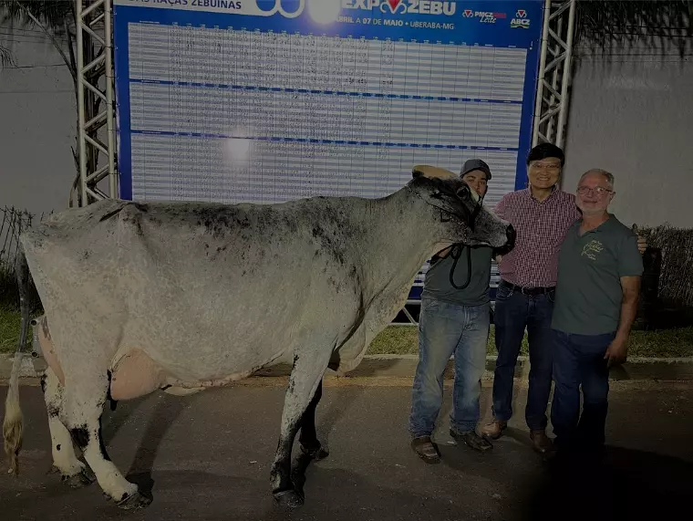 Torneio Leiteiro