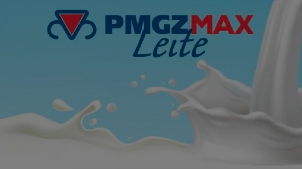 Rafael Vizoná